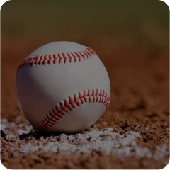 Baseball Betting Software