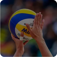 Volleyball Betting Software