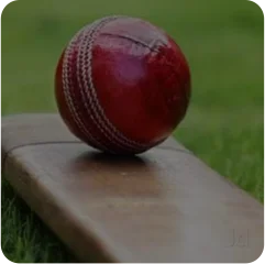 Cricket Betting Software