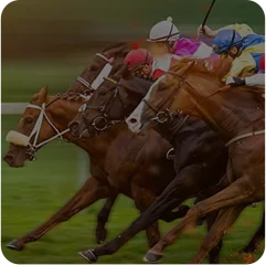 Horse Racing Betting Software