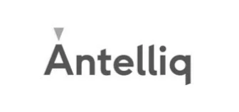 Ecommerce Solutions Antelliq