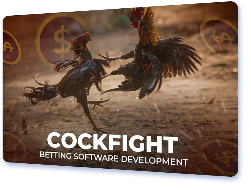 Cockfight Betting Software