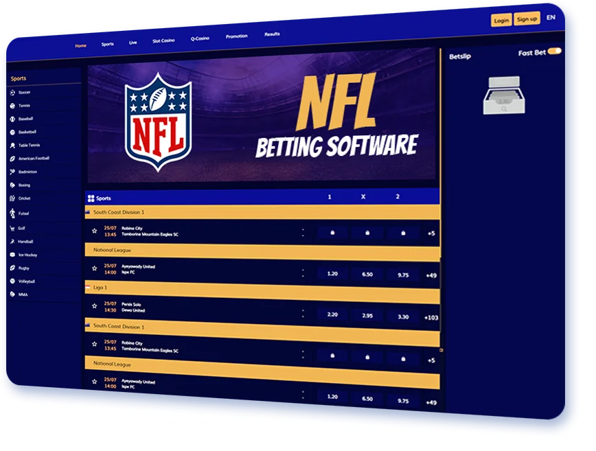 NFL betting software