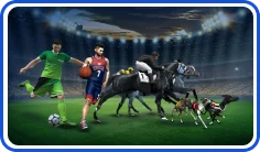 Virtual sport games software