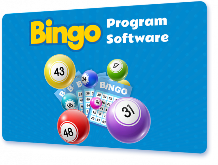 bingo software programs