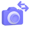 camera swaps