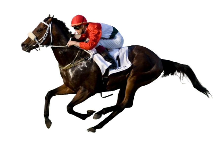 Horse Racing Software Development Company in Malaysia