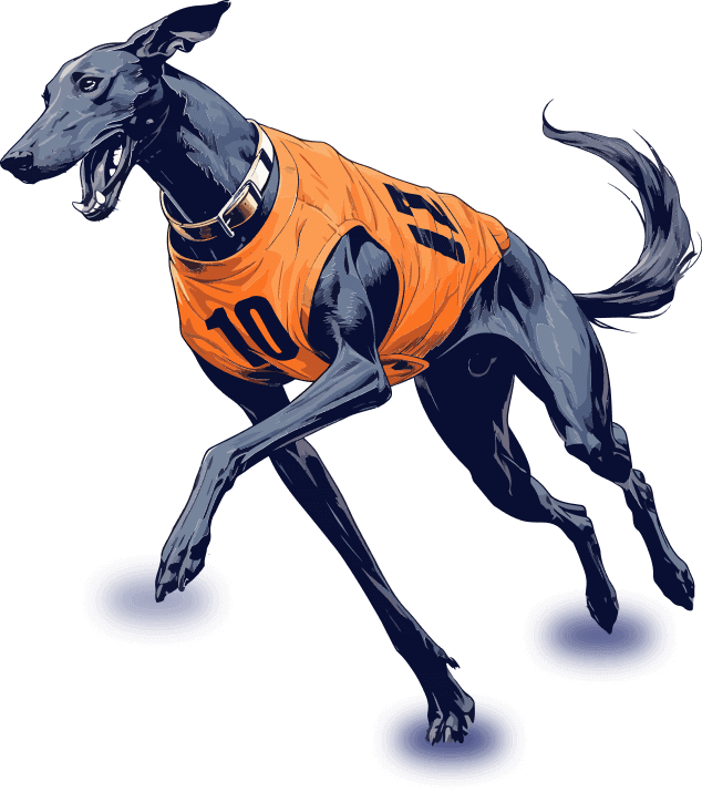 Greyhound Racing Betting Software Development Company